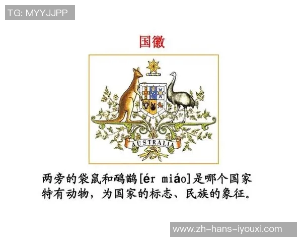 西班牙与澳大利亚激战正酣谁将赢得这场精彩对决的胜利